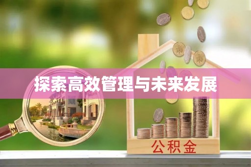 城北探索高效管理与未来发展