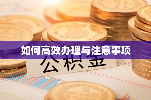 城北如何高效办理与注意事项