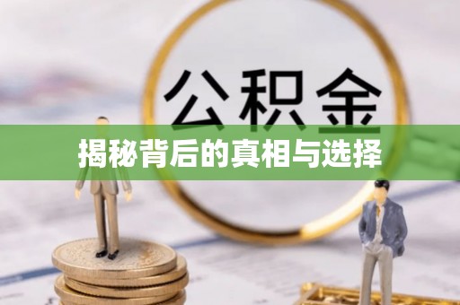 城北揭秘背后的真相与选择