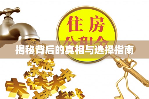 城北揭秘背后的真相与选择指南