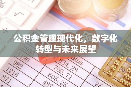 城北公积金管理现代化，数字化转型与未来展望
