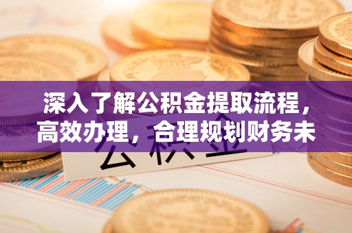 城北深入了解公积金提取流程，高效办理，合理规划财务未来