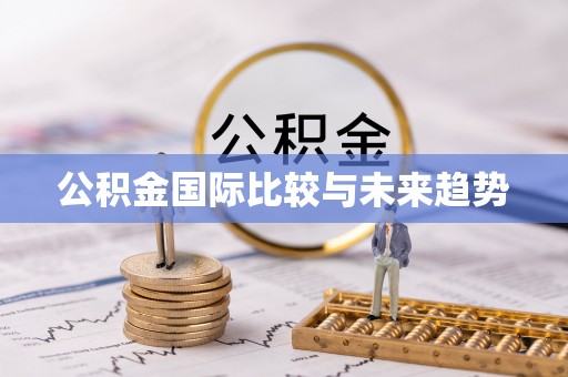 城北公积金国际比较与未来趋势