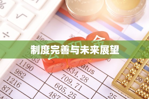 城北制度完善与未来展望