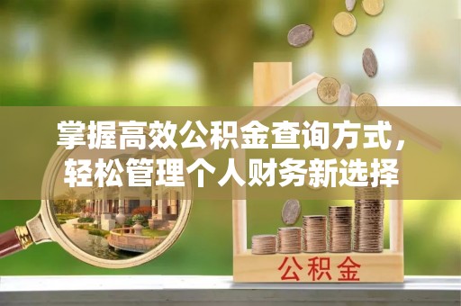 城北掌握高效公积金查询方式，轻松管理个人财务新选择