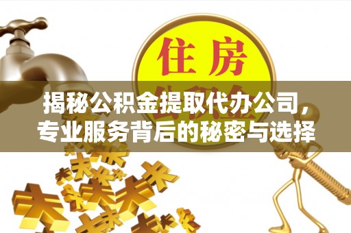 城北揭秘公积金提取代办公司，专业服务背后的秘密与选择指南