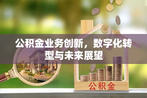 城北公积金业务创新，数字化转型与未来展望