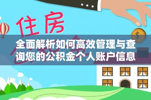 城北全面解析如何高效管理与查询您的公积金个人账户信息