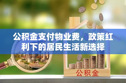 城北公积金支付物业费，政策红利下的居民生活新选择