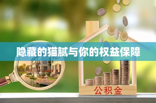城北隐藏的猫腻与你的权益保障