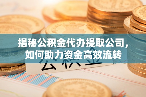 城北揭秘公积金代办提取公司，如何助力资金高效流转