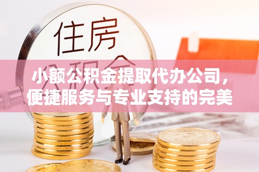 城北小额公积金提取代办公司，便捷服务与专业支持的完美结合