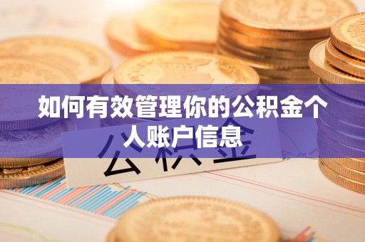 城北如何有效管理你的公积金个人账户信息