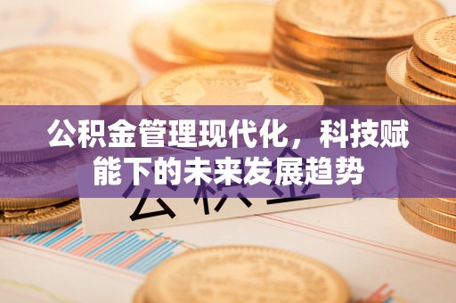 城北公积金管理现代化，科技赋能下的未来发展趋势