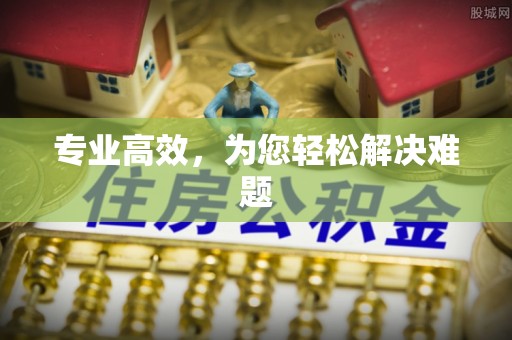 城北专业高效，为您轻松解决难题