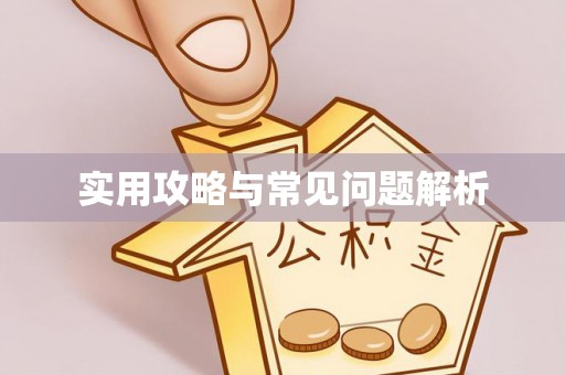 城北实用攻略与常见问题解析