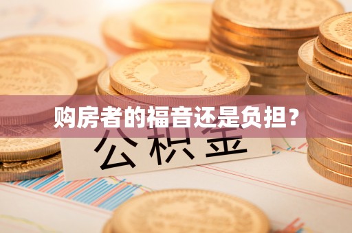 城北购房者的福音还是负担？
