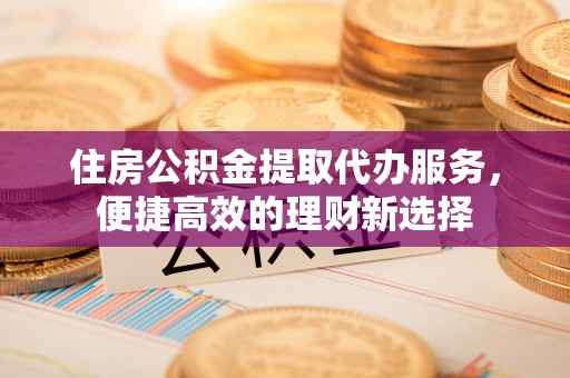 城北住房公积金提取代办服务，便捷高效的理财新选择