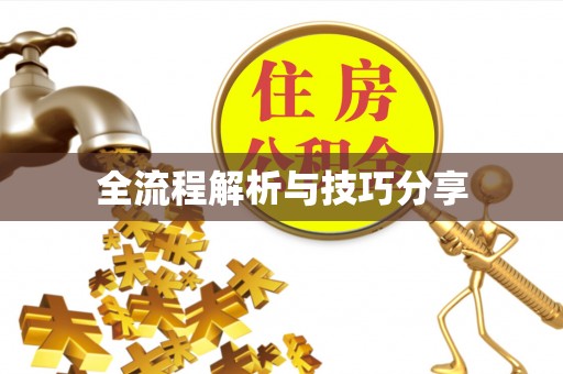 城北全流程解析与技巧分享