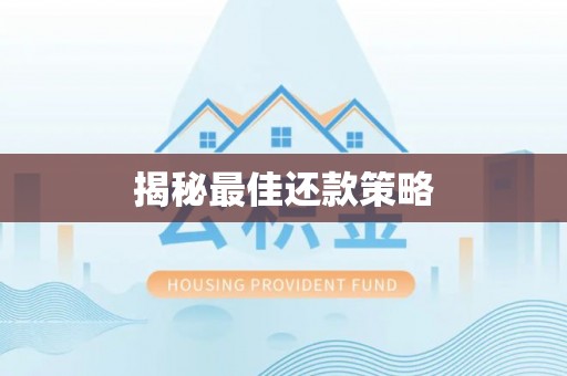 城北揭秘最佳还款策略