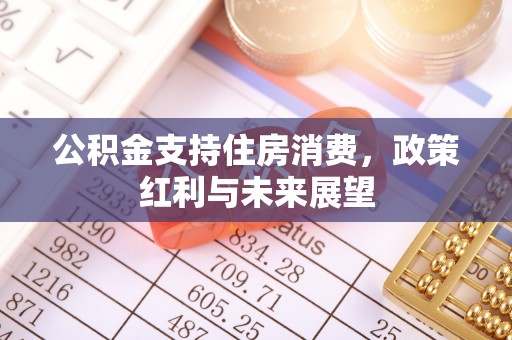 城北公积金支持住房消费，政策红利与未来展望